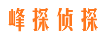 天长侦探公司